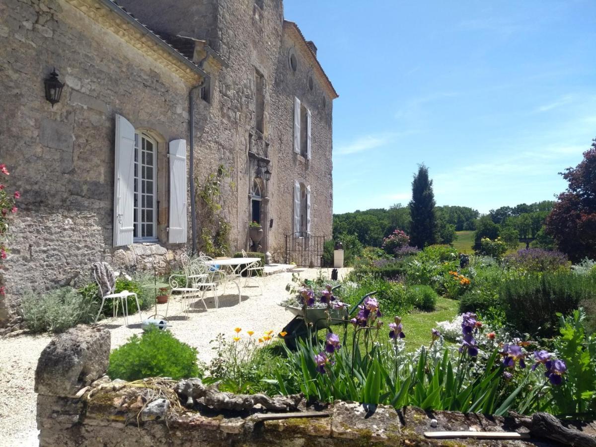 Chateau Barayre - Beautiful 12Th Century Castle With Pool And Large Garden Laussou Экстерьер фото